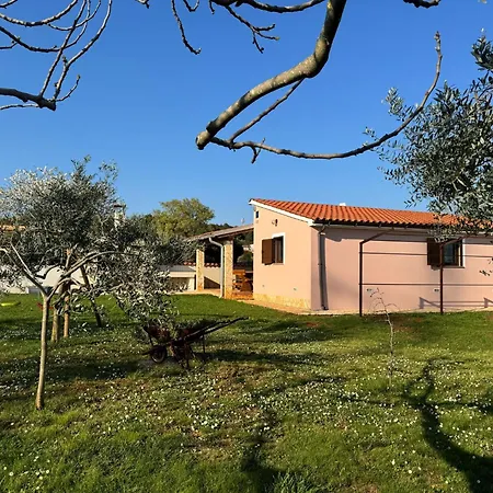 Kuca Renata Πούλα